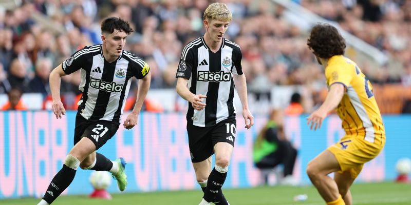 Nhận Định Newcastle Vs Brighton Hove Albion Lúc 21H00 Ngày 02/05 - Premier League 3 Đánh giá phong độ khác biệt Newcastle vs Brighton Hove Albion